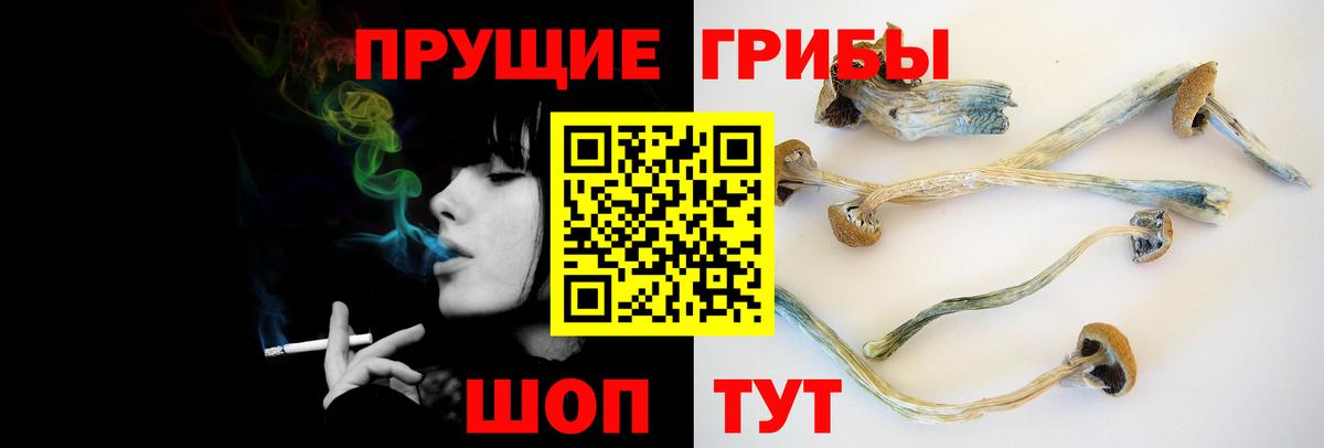 Псилоцибиновые грибы ЛСД Дедовск